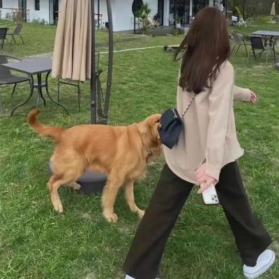 沉睡百万年